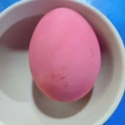 ไข่เยี่ยวม้า