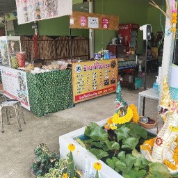ตำเจ๊โจ้ 69 - ถนนศรีสวัสดิ์รัตนโกสินทร์