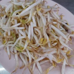 ถั่วงอก