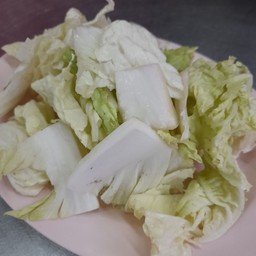 ผักกาดขาว