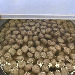 ข้าวต้มหมู