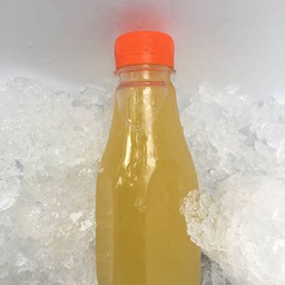 Freshly Squeezed Sugarcane Juice 100%