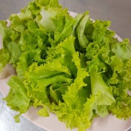 ผักกาดหอม