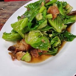 ผักแขนง