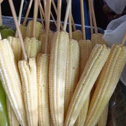 ข้าวโพดอ่อน