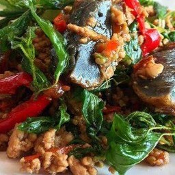 ข้าวกระเพราไข่เยี่ยวม้า