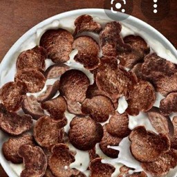 โกโก้ครั้นท์