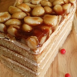 บัตเตอร์สก๊อต แมคคาเดเมีย