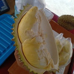 ร้านทุเรียนหนองใหญ่