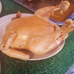 ไก่ต้มนํ้าปลาฮาลาล