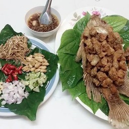 น้อยกองบิน6