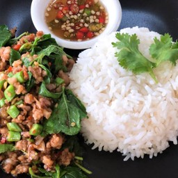 ข้าวกะเพราหมูสับ