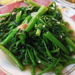 ผักบุ้งไฟแดง