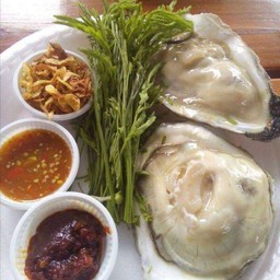 หอยนางรมสุราษฎร์(จัมโบ้1ตัว)