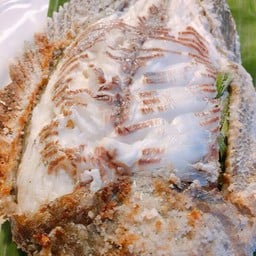 อ.ปลาเผาผักสด(สันต้นธง)