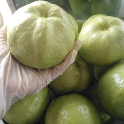 ฝรั่งสด