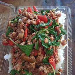 กะเพราจานหมู