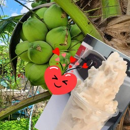 Ck coconut