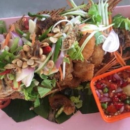 ปลาทับทิมลุยสวน