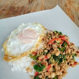 กะเพรา 20
