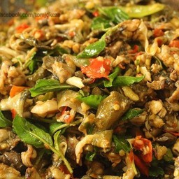 ผัดเผ็ดกบ