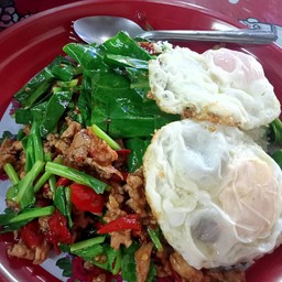 ผัดผักคะน้าหมูถาด