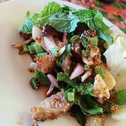 ส้มตำต้นมะม่วง (วัดห้วยนาคราช)  ทุ่งทอง