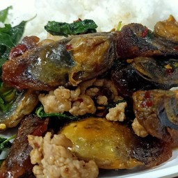 บ้านกะเพราเฮงเฮง