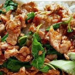 กะเพราหมูชิ้นพริกแห้ง ราดข้าว