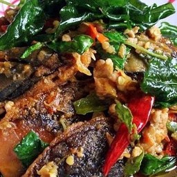 กระเพราไข่เยี่ยวม้าหมูกรอบราดข้าว