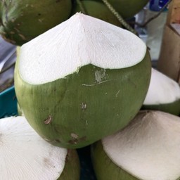 มะพร้าวน้ำหอมสดอ่อน ลูก