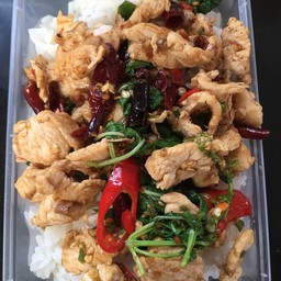 ผัดกระเพราไก่สด พริกแห้ง ฟรีไข่ดาว