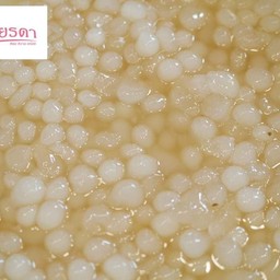 ลูกลานน้ำเชื่อม