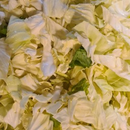 ผักพิเศษ