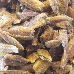 ปลากรอบ