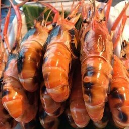 ชริม กุ้งเผา