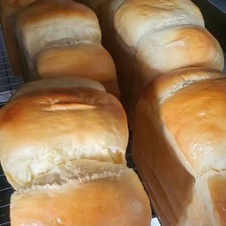 โชกุบัน ดิบใบเตย