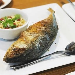 ปลาทูยักษ์