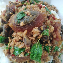 เจ๊แคทเมืองเก่าอาหารตามสั่ง