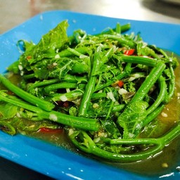 ยอดมะระน้ำมันหอย