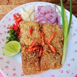 กินกับก้อยจัง