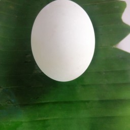 ไข่เค็ม