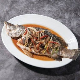 ปลากะพงนึ่งซีอิ๊ว เส้นก๋วยเตี๋ยว