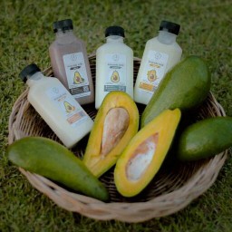 Avocado Milk