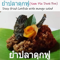 ยำปลาดุกฟู(Yam pla Dook Foo)