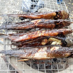 ปลาดุกย่าง