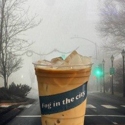 Fog in the city