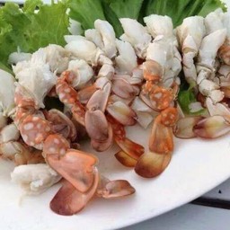 กรรเชียงปูม้านึ่ง