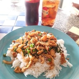 กระเพราหมูชิ้นหมูหมัก