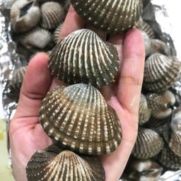 หอยแครงไซส์ใหญ่เผา 1 กิโลกรัม